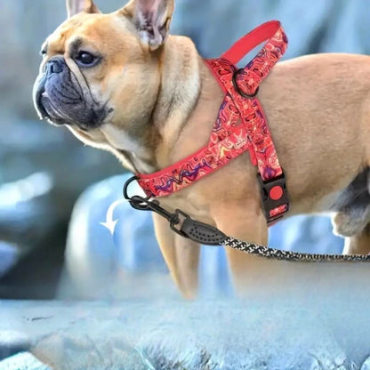 Harnais pour Chien - DogSafeHarness™ - Rouge - Toutou Paradis