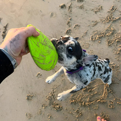 Frisbee - FlyDog™ - Vert - Toutou Paradis