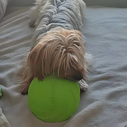 Frisbee - FlyDog™ - Vert - Toutou Paradis